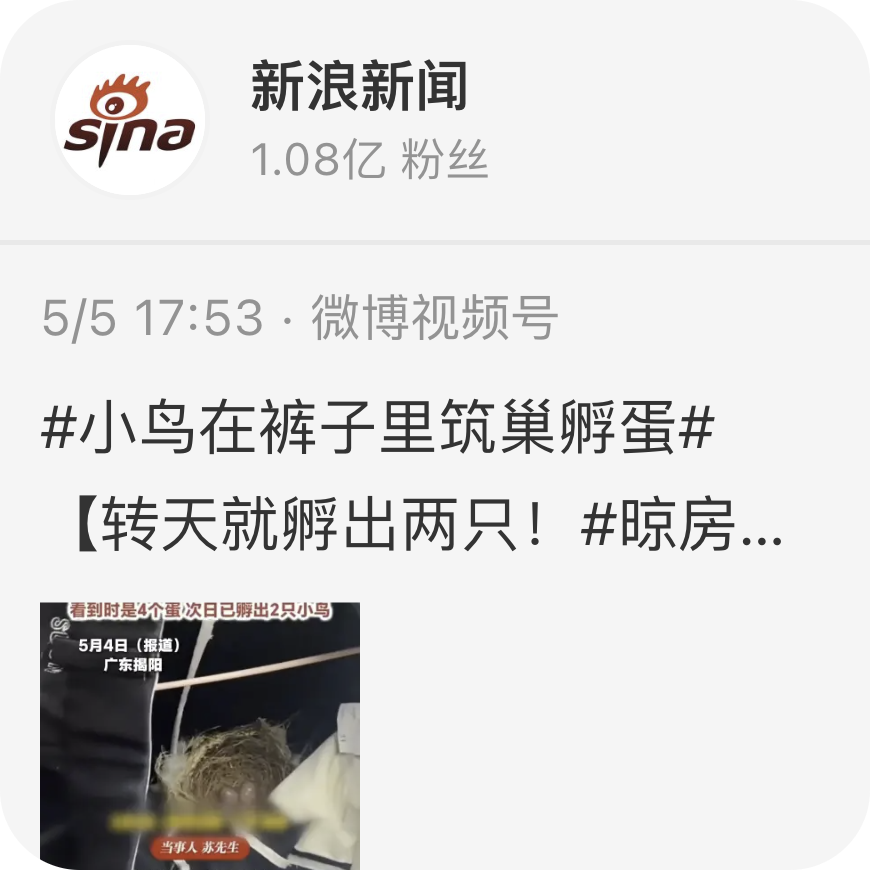 Weibo Profile Feed small preview